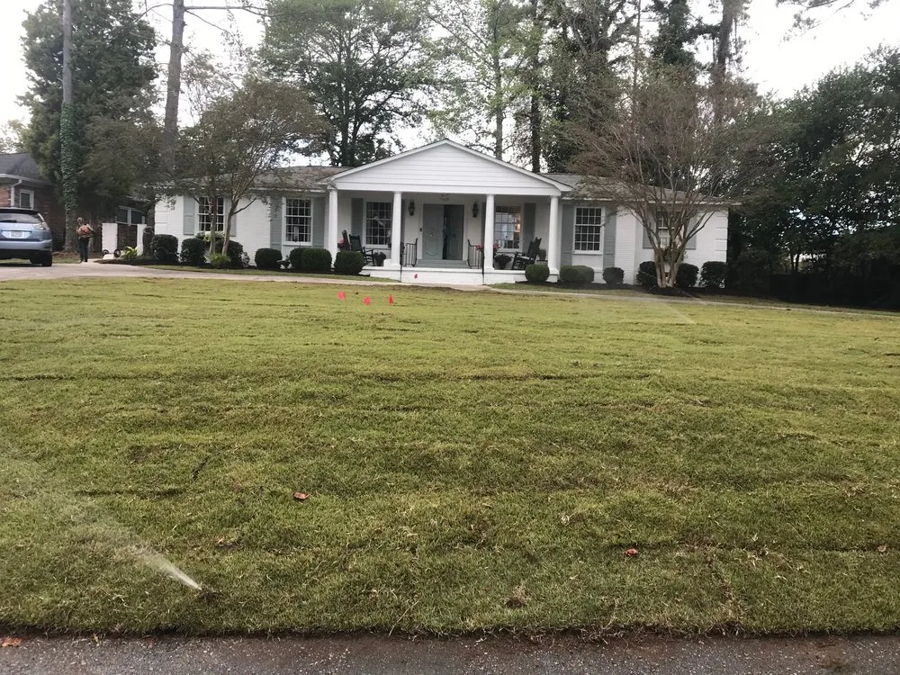 Local lawn care service for residential properties in Travelers Rest, SC by Yellow Dog Lawn Care