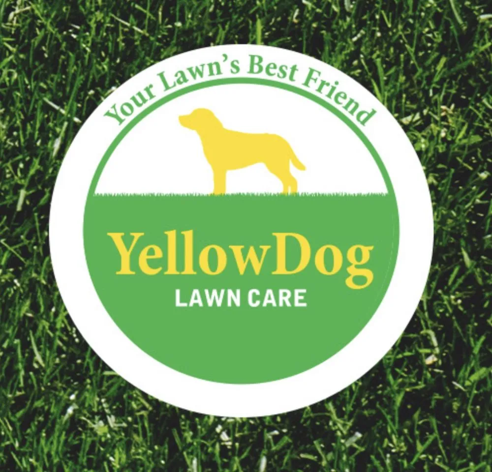 Local residential landscaping experts serving Travelers Rest, SC - Yellow Dog Lawn Care