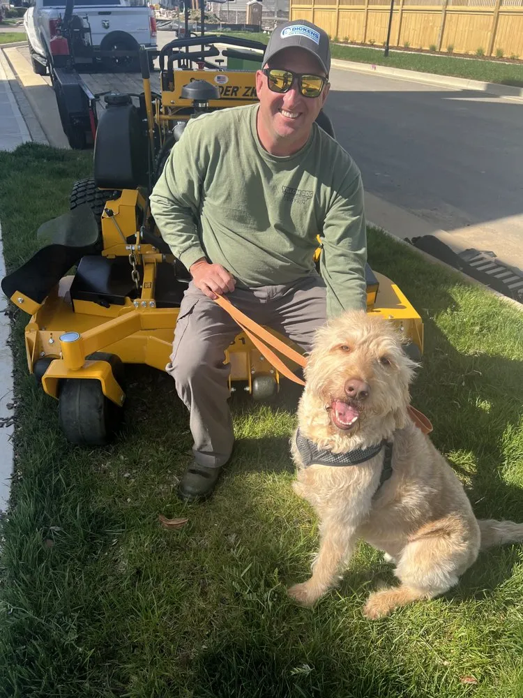 Affordable landscape design for year-round maintenance across Hermitage, TN - Yellow Dog Lawncare Services