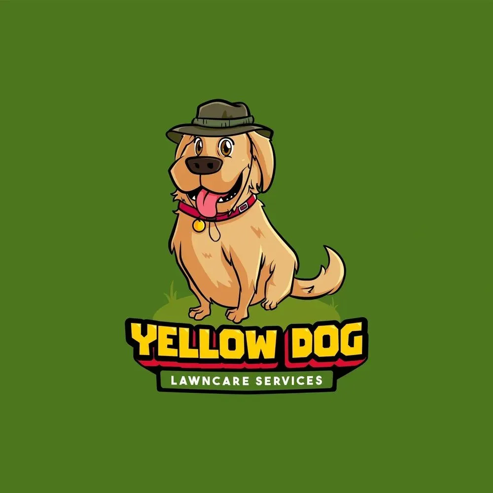 Top-rated landscaping services experts serving Hermitage, TN - Yellow Dog Lawncare Services