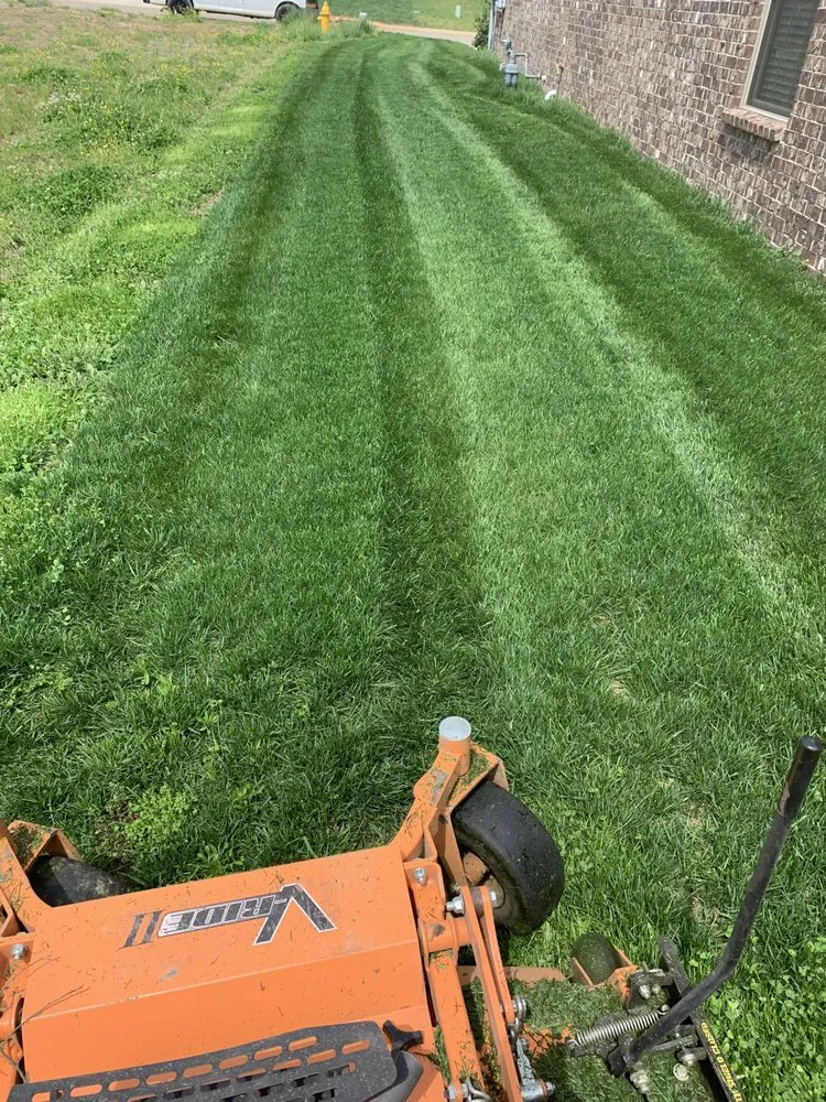 Expert yard cleanup service in Hermitage, TN by Yellow Dog Lawncare Services