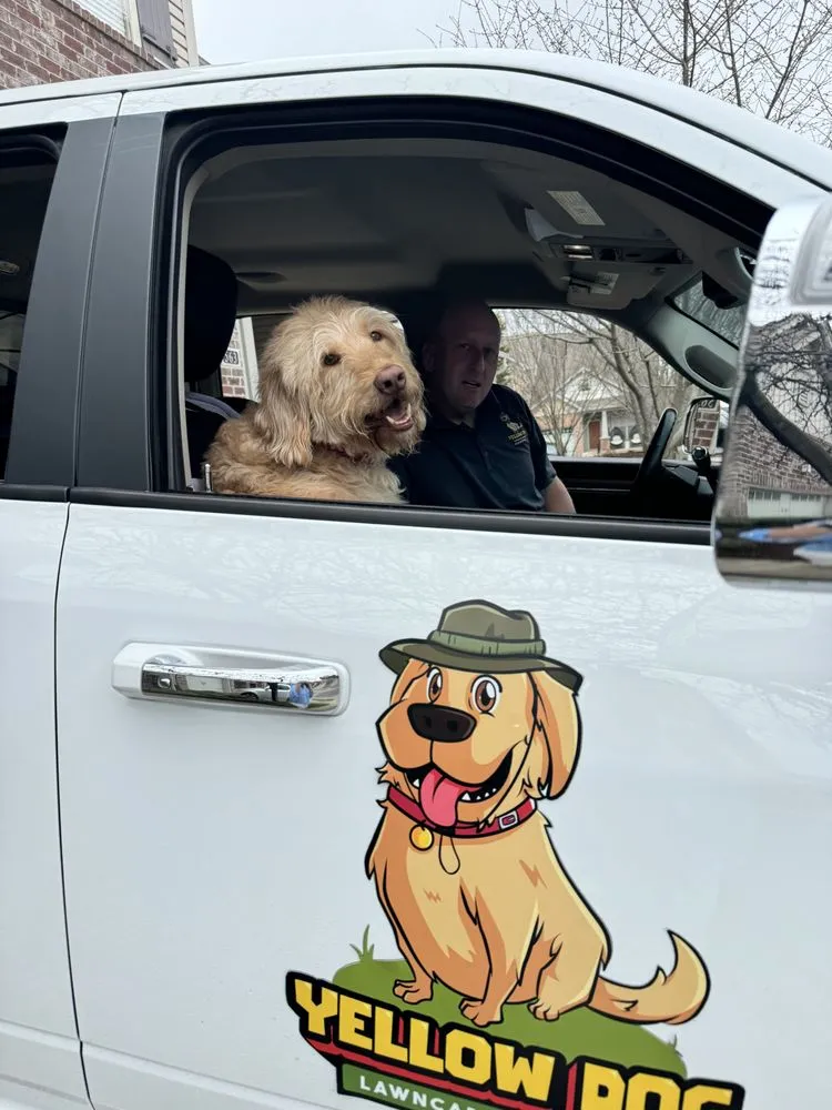 Affordable lawn care service experts serving Hermitage, TN - Yellow Dog Lawncare Services