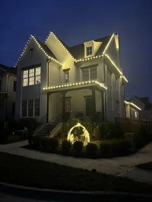 Yellow Dog Lawncare Services Logo