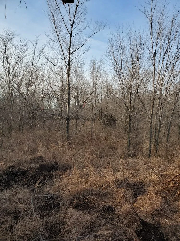 Reliable yard cleanup service near you in Augusta, KS by Yellow Flower