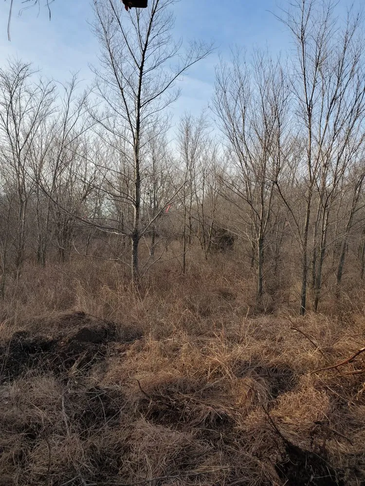 Custom landscape design experts serving Augusta, KS - Yellow Flower