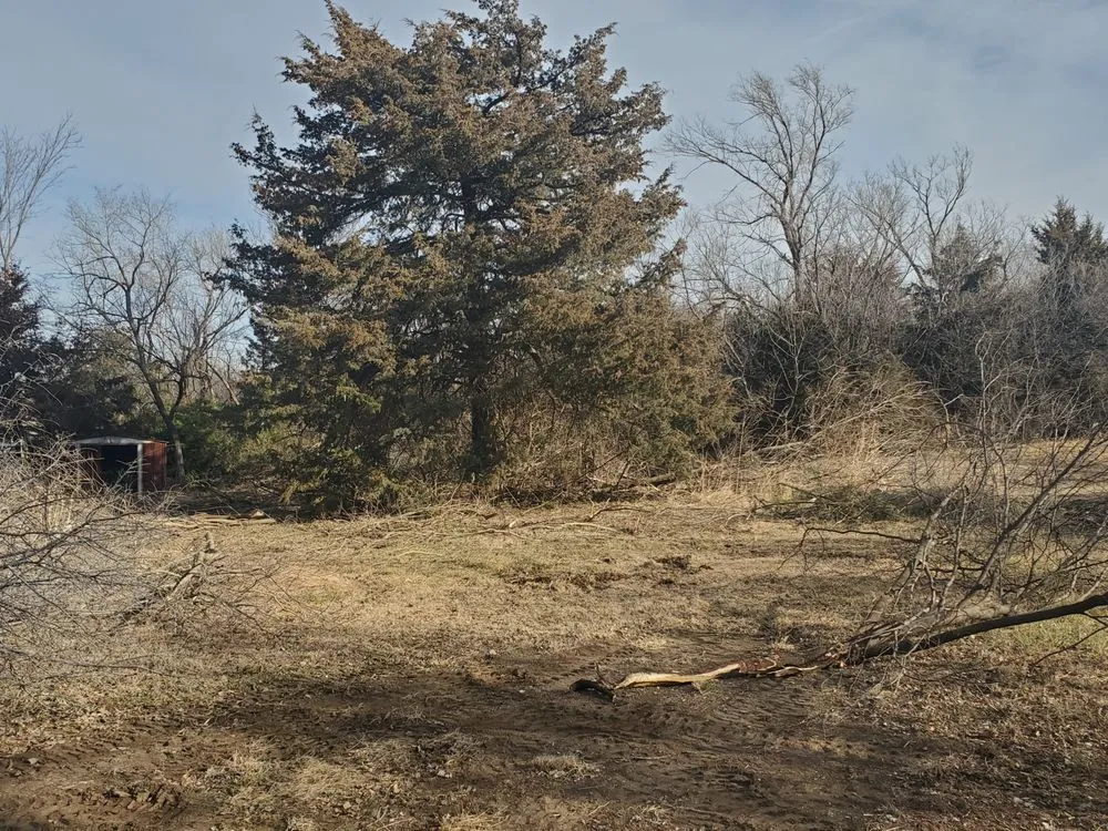 Professional yard maintenance experts serving Augusta, KS - Yellow Flower