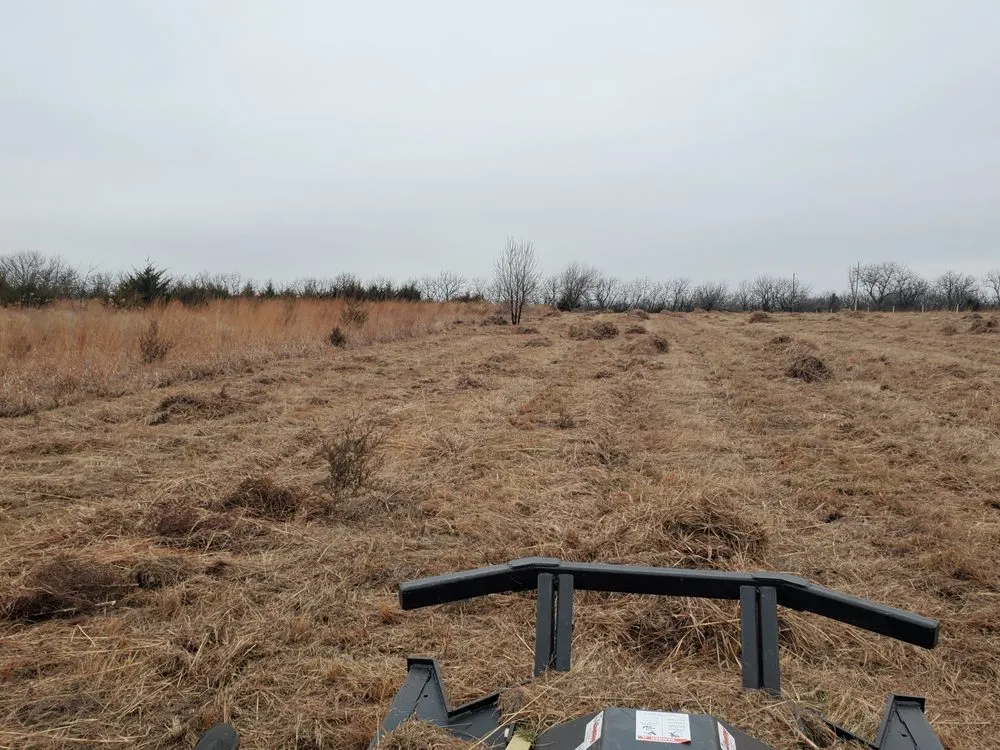 Expert garden landscaping for beautiful yards across Augusta, KS - Yellow Flower
