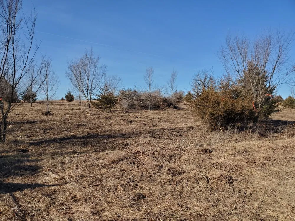 Professional landscape installation for homes in Augusta, KS by Yellow Flower