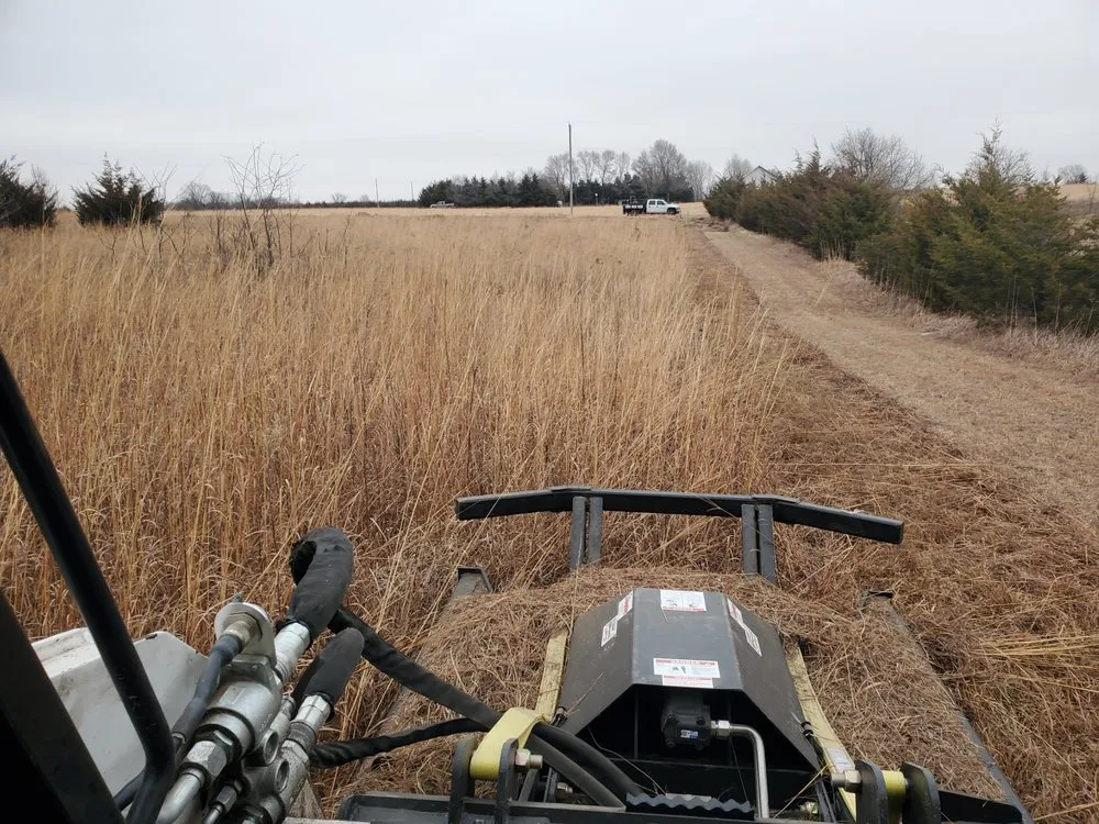 Expert landscape installation in Augusta, KS - Yellow Flower