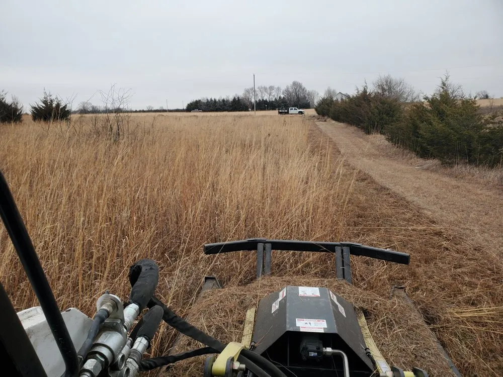 Affordable yard cleanup service for year-round maintenance across Augusta, KS - Yellow Flower