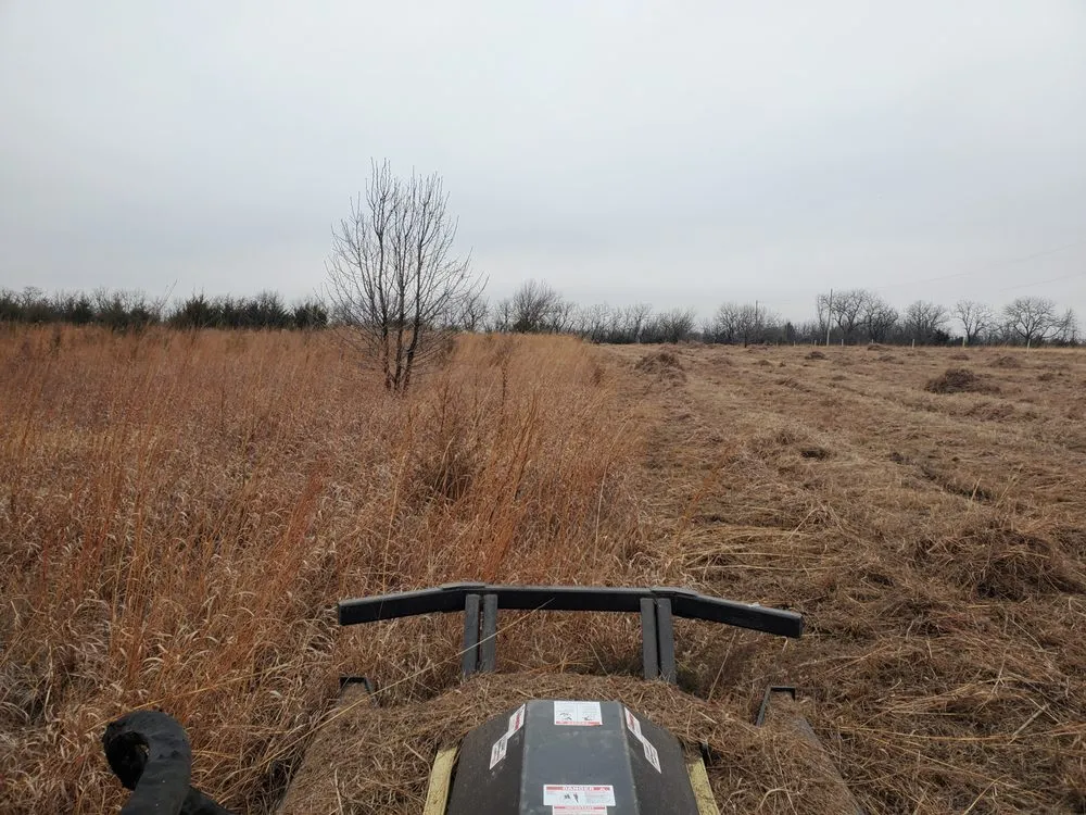 Professional yard maintenance in Augusta, KS - Yellow Flower