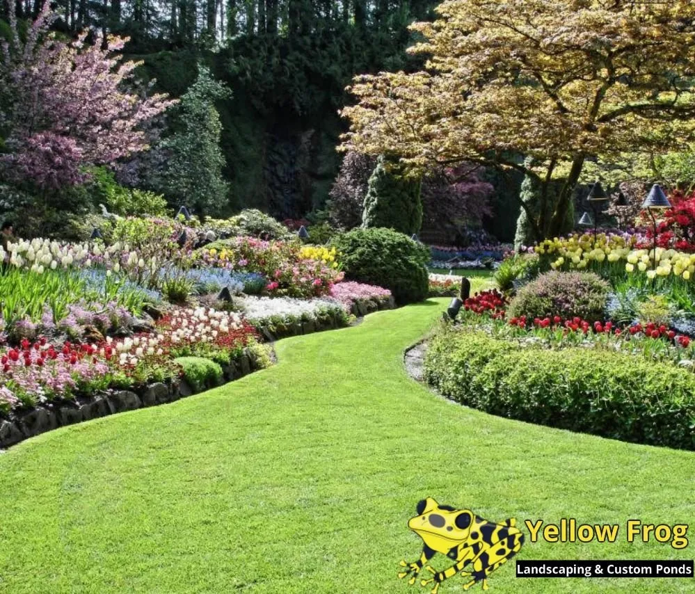 Expert landscape design for homes in Jacksonville, FL by Yellow Frog Landscaping & Custom Ponds