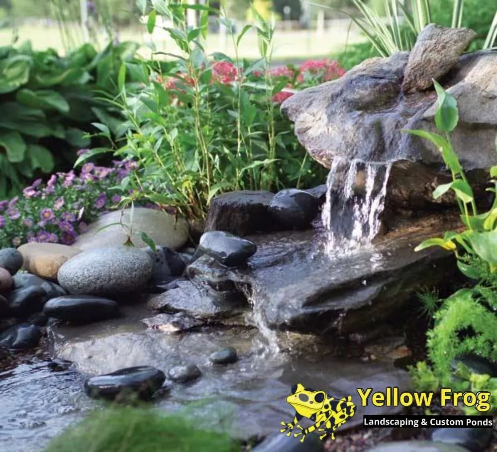 Custom lawn care service experts serving Jacksonville, FL - Yellow Frog Landscaping & Custom Ponds