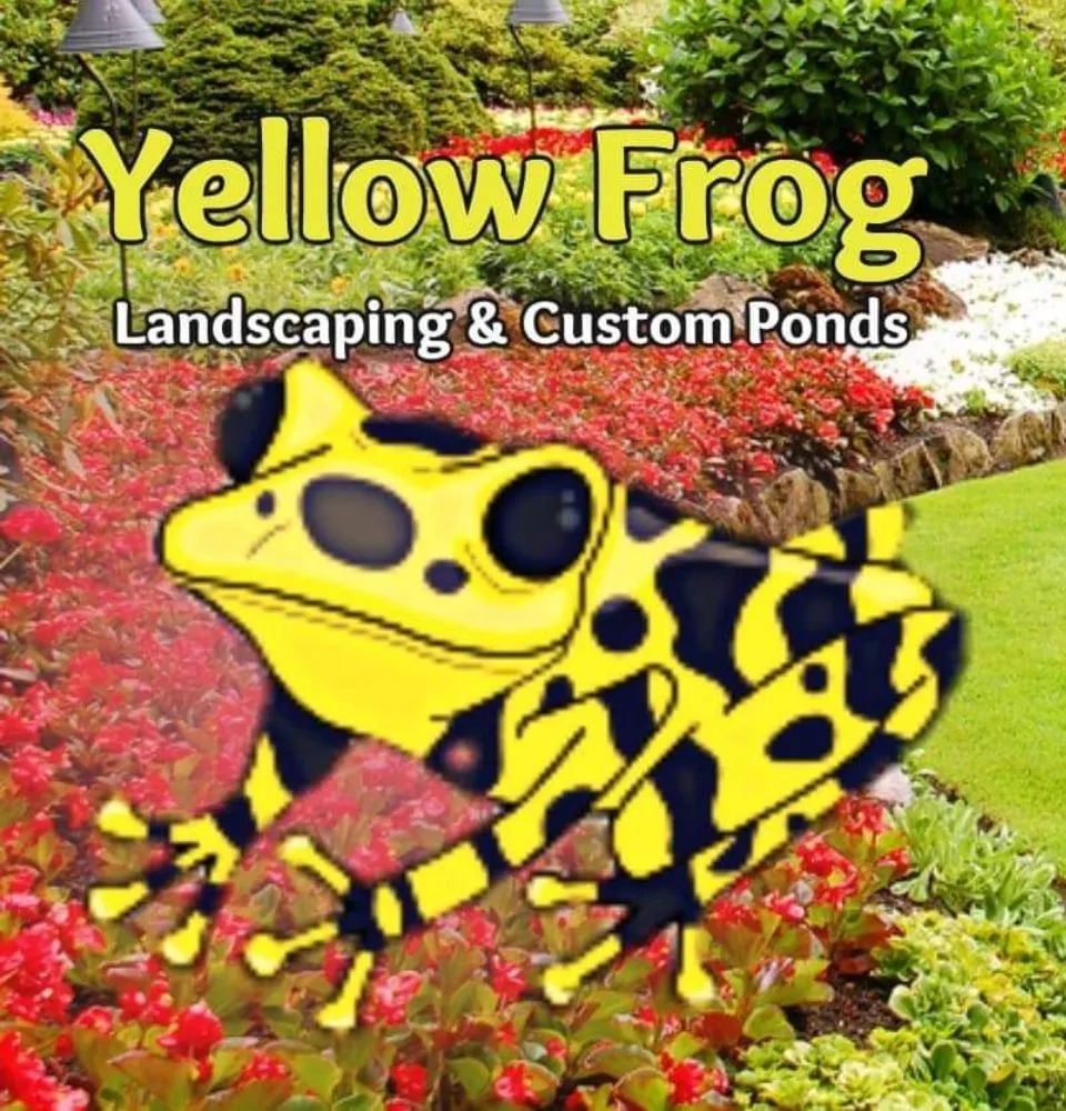 Trusted landscape installation experts serving Jacksonville, FL - Yellow Frog Landscaping & Custom Ponds