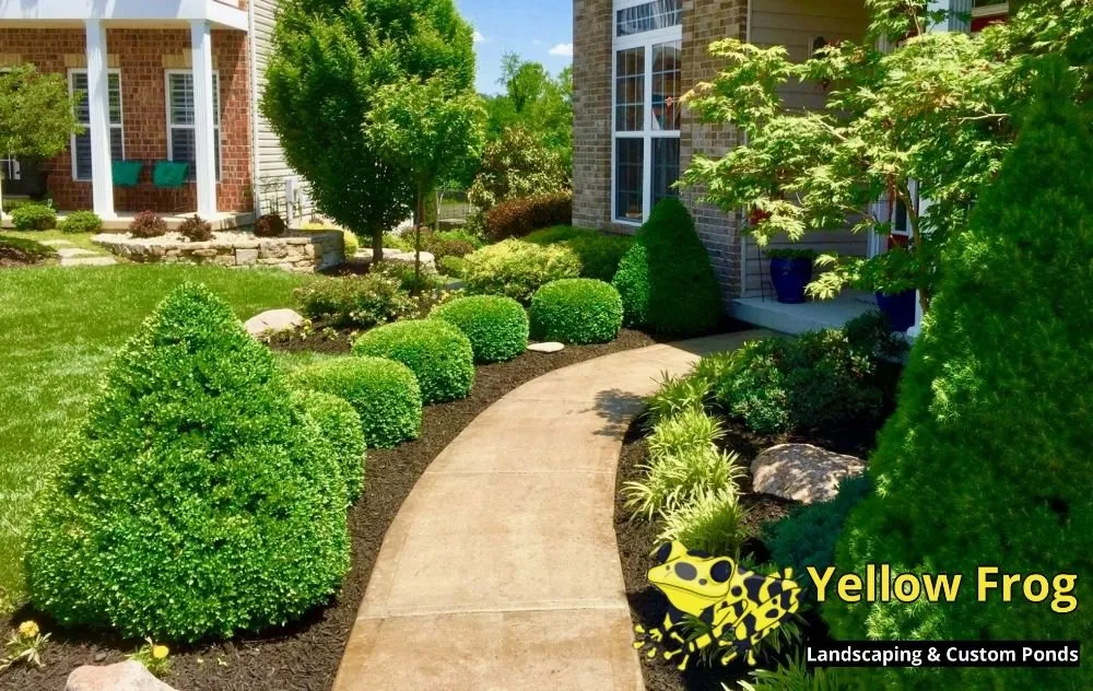Affordable yard maintenance experts serving Jacksonville, FL - Yellow Frog Landscaping & Custom Ponds