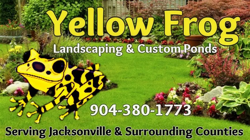 Professional yard cleanup service in Jacksonville, FL by Yellow Frog Landscaping & Custom Ponds