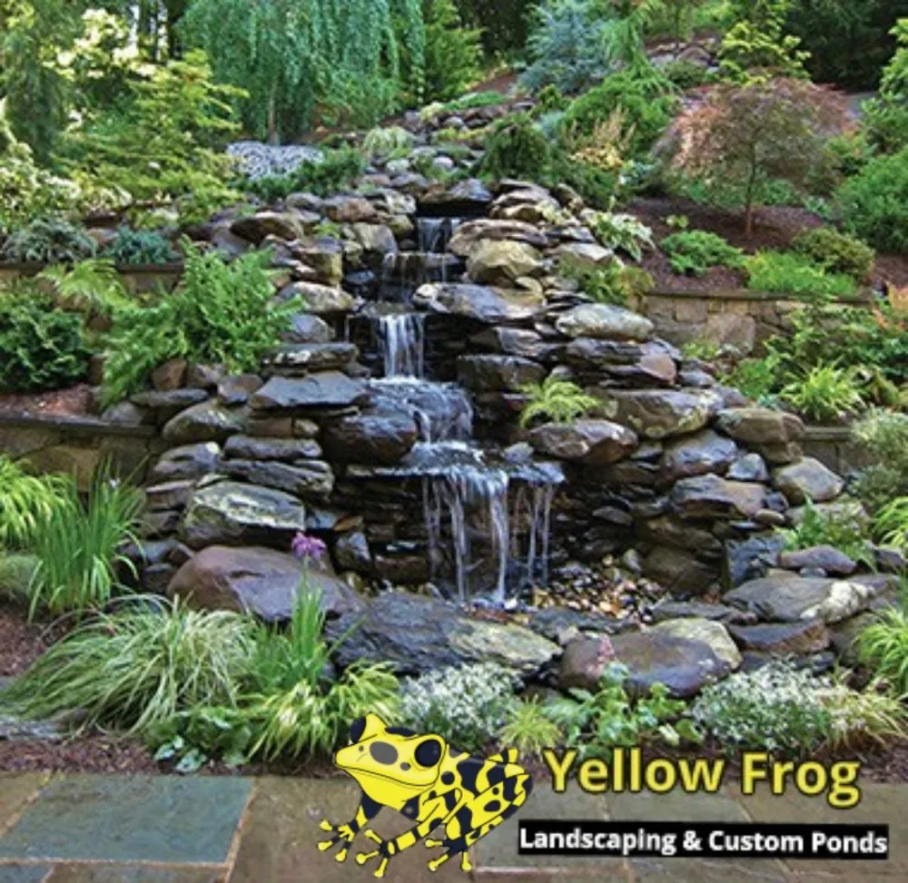 Local lawn mowing service in Jacksonville, FL - Yellow Frog Landscaping & Custom Ponds