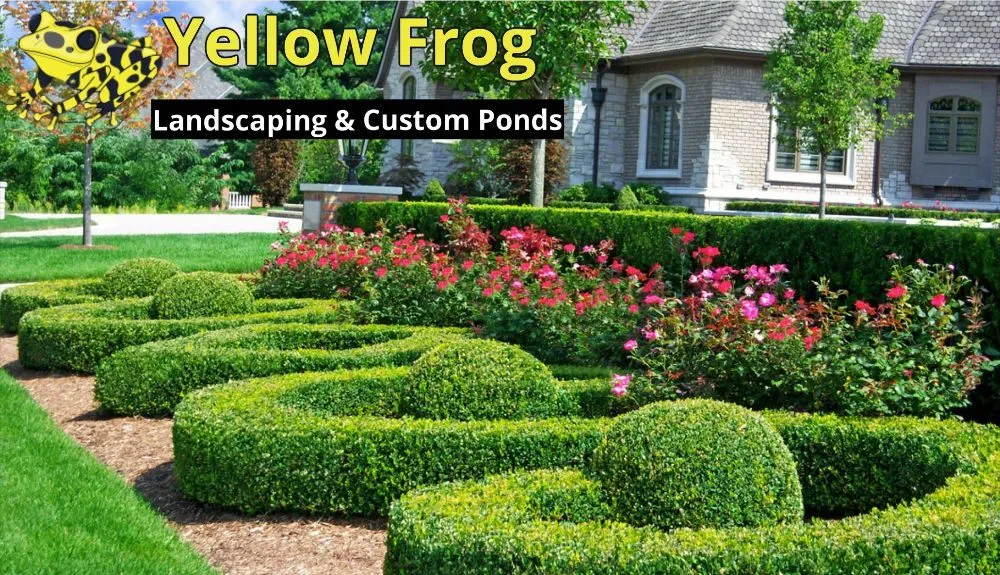 Trusted landscape design in Jacksonville, FL by Yellow Frog Landscaping & Custom Ponds