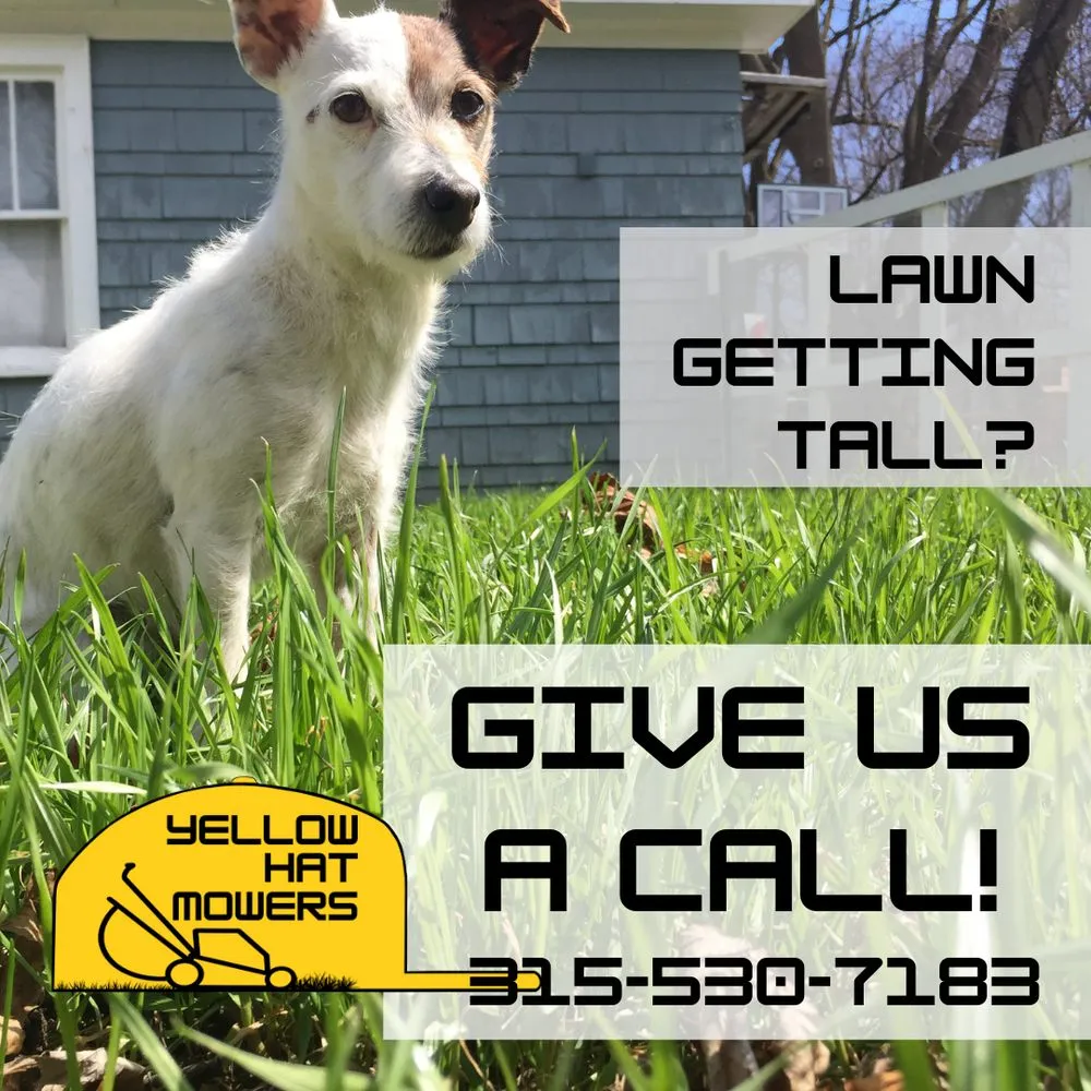 Custom landscape installation for beautiful yards across Syracuse, NY - Yellow Hat Mowers