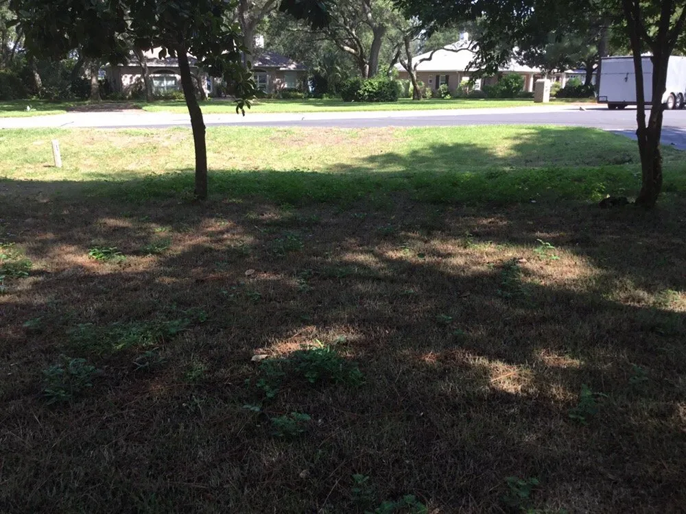 Local landscape design for year-round maintenance in Shalimar, FL by Yellow Jacket Landscaping