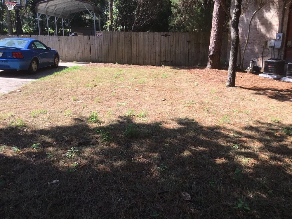 Professional landscaping services for residential properties in Shalimar, FL by Yellow Jacket Landscaping