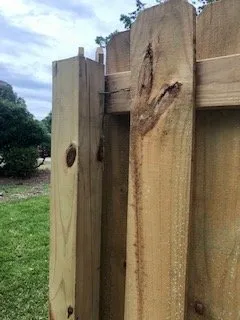 Reliable landscaping services in Shalimar, FL - Yellow Jacket Landscaping