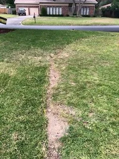 Expert outdoor landscaping for homes across Shalimar, FL - Yellow Jacket Landscaping