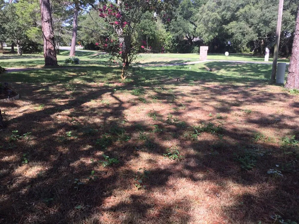 Top-rated lawn care service near you across Shalimar, FL - Yellow Jacket Landscaping