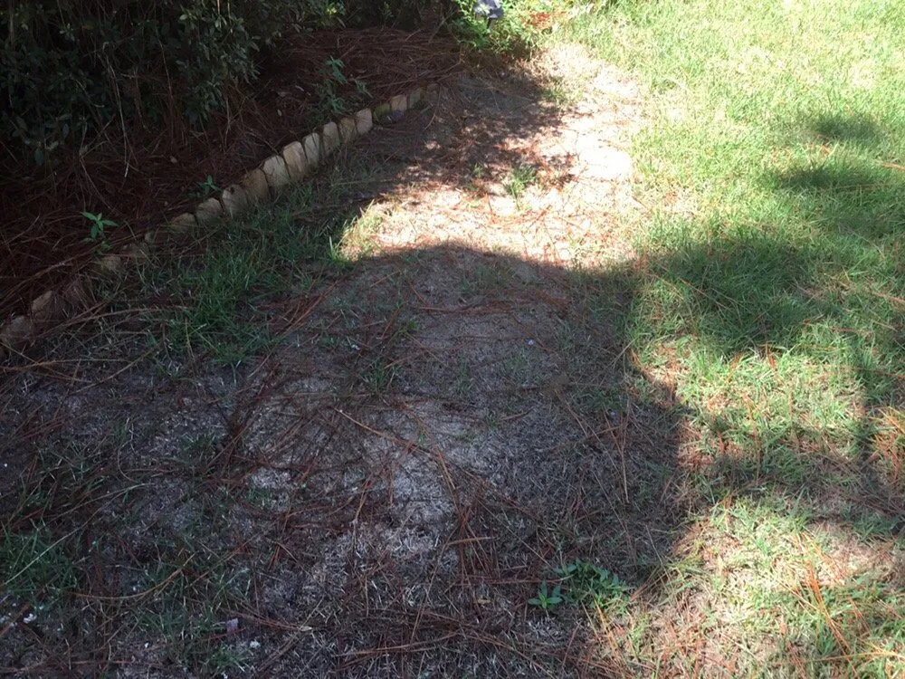 Local residential landscaping in Shalimar, FL by Yellow Jacket Landscaping