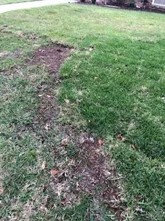 Top-rated yard maintenance for outdoor upgrades across Shalimar, FL - Yellow Jacket Landscaping