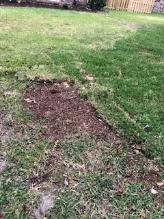 Local garden landscaping in Shalimar, FL - Yellow Jacket Landscaping