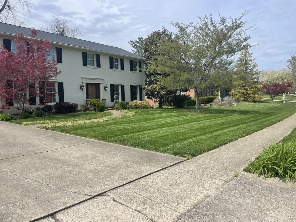 Top-rated lawn care service for outdoor upgrades in Lexington-Fayette, KY by Yellow Jacket Lawn Care