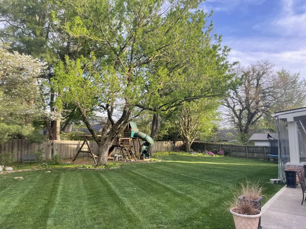 Affordable lawn mowing service experts serving Lexington-Fayette, KY - Yellow Jacket Lawn Care