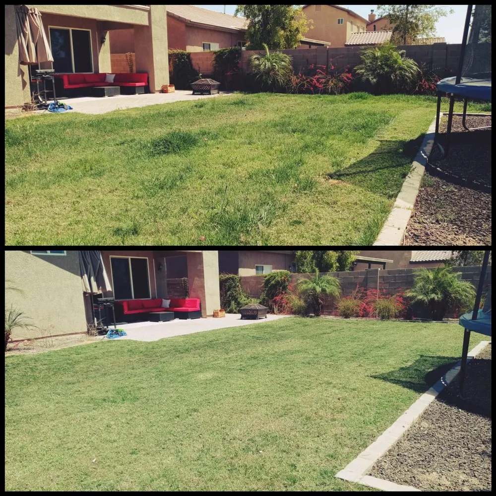 Custom garden landscaping in Yuma, AZ by Yellow Jacket Lawn Care