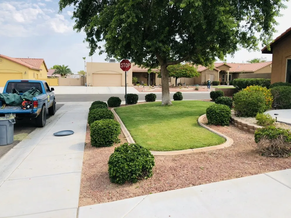 Reliable residential landscaping in Yuma, AZ by Yellow Jacket Lawn Care