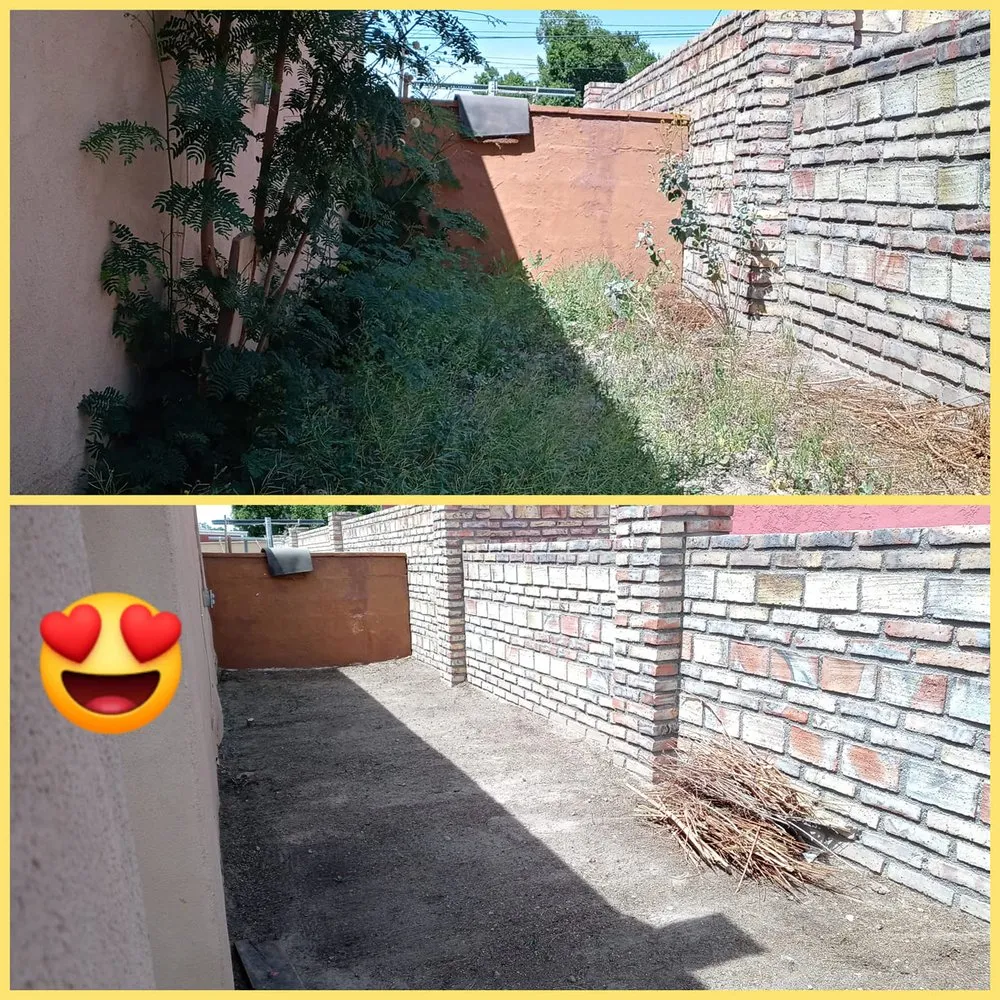 Reliable landscape installation in Yuma, AZ - Yellow Jacket Lawn Care