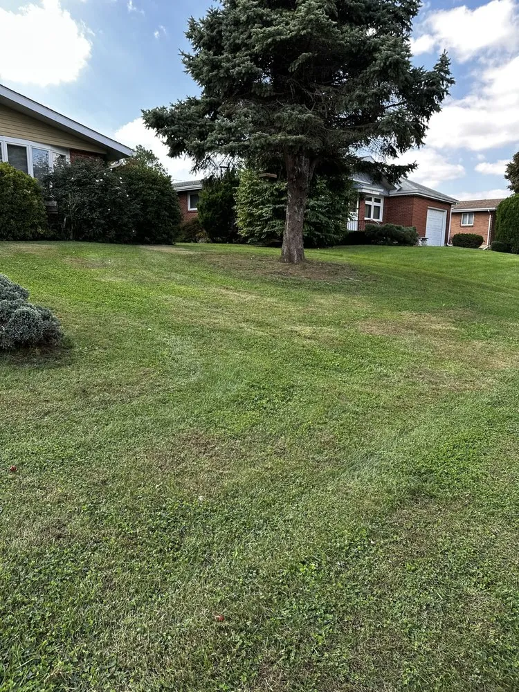 Trusted lawn mowing service experts serving Bethlehem, PA - Yellow Jacket Lawn Service