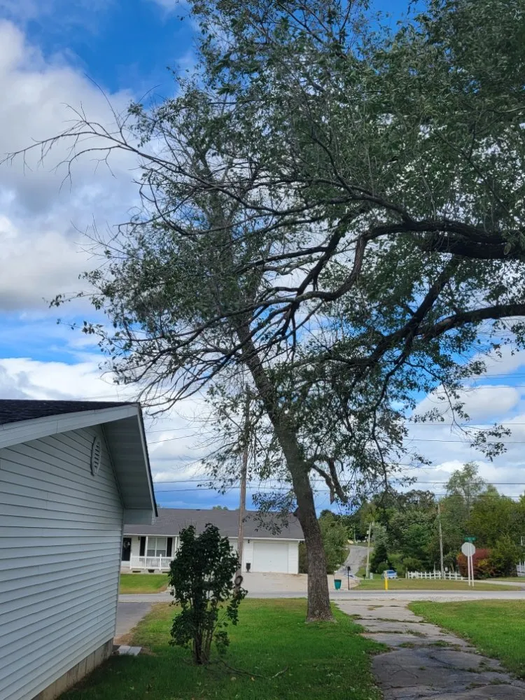 Custom landscape installation for homes in Mountain View, MO by Yellow Leaf Landscaping