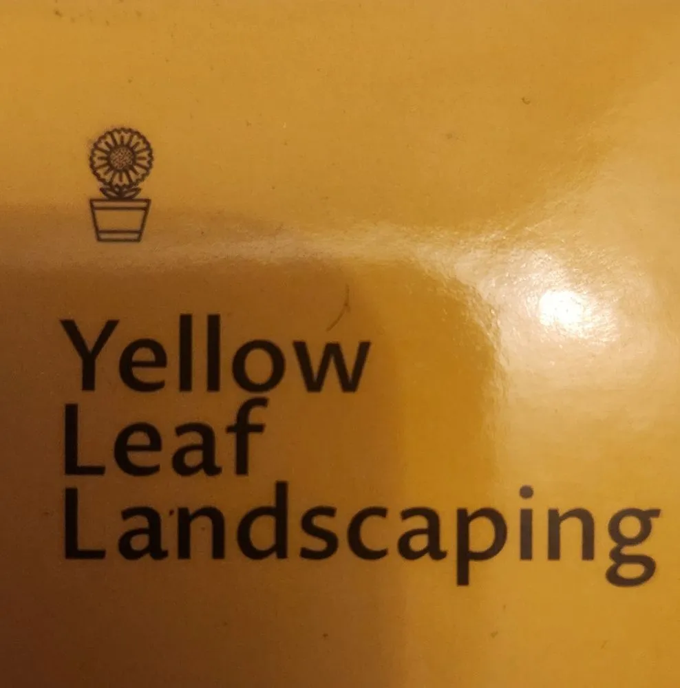 Custom yard cleanup service for beautiful yards across Mountain View, MO - Yellow Leaf Landscaping