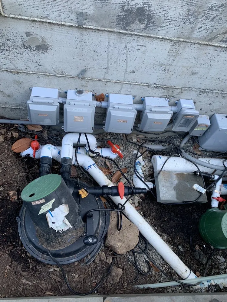 Custom yard maintenance for year-round maintenance across San Rafael, CA - Yellow Lotus Water Gardens