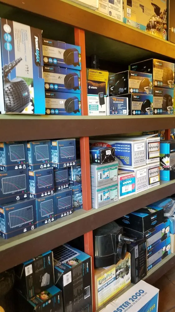 Reliable landscape installation in San Rafael, CA - Yellow Lotus Water Gardens