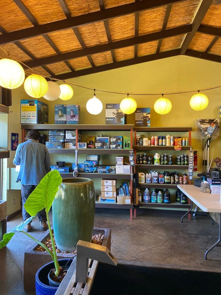 Top-rated outdoor landscaping experts serving San Rafael, CA - Yellow Lotus Water Gardens