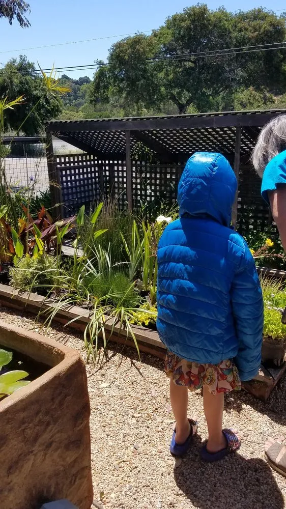 Reliable outdoor landscaping for residential properties across San Rafael, CA - Yellow Lotus Water Gardens