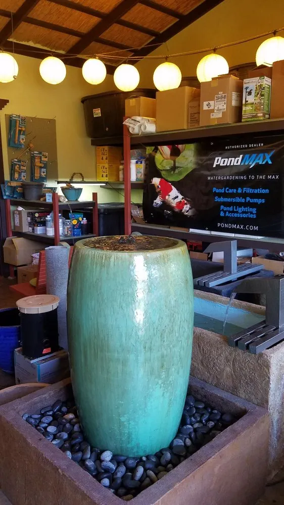 Local yard maintenance in San Rafael, CA by Yellow Lotus Water Gardens