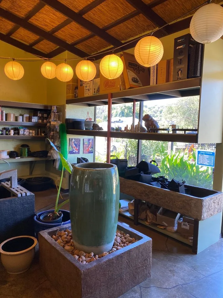 Custom landscaping services in San Rafael, CA by Yellow Lotus Water Gardens