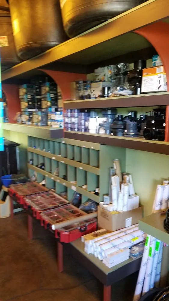 Trusted yard maintenance experts serving San Rafael, CA - Yellow Lotus Water Gardens