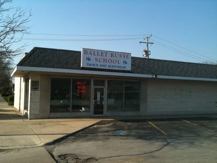 Top-rated yard cleanup service experts serving San Rafael, CA - Yellow Lotus Water Gardens