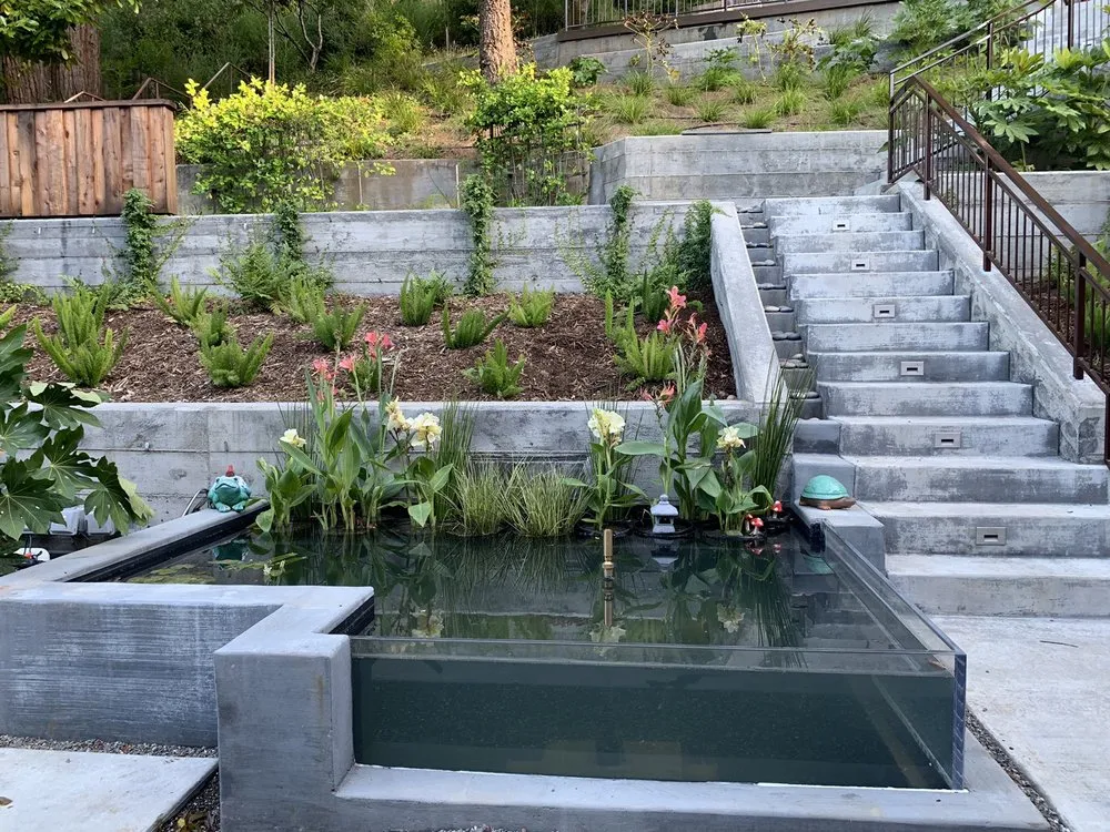 Top-rated lawn care service experts serving San Rafael, CA - Yellow Lotus Water Gardens