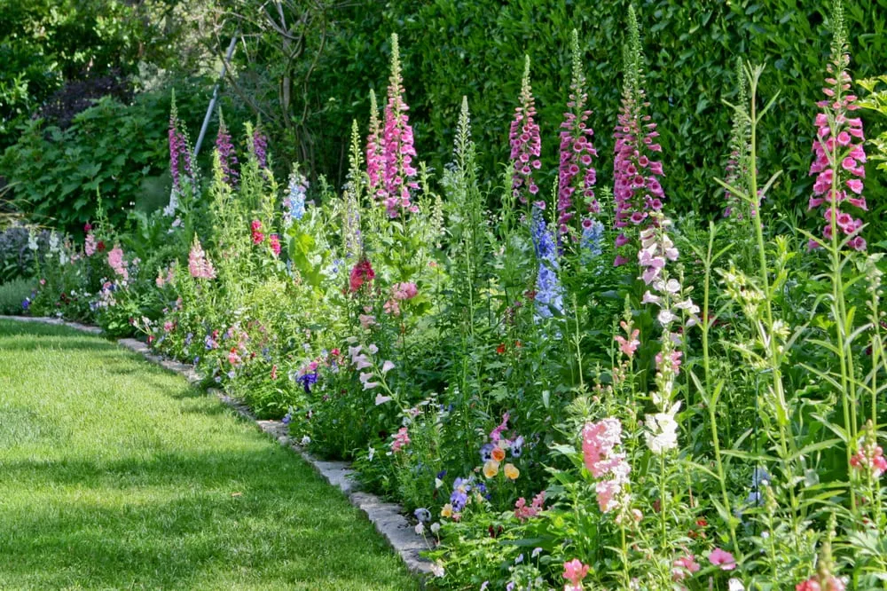 Top-rated lawn mowing service for residential properties in San Jose, CA by Yellow Petal