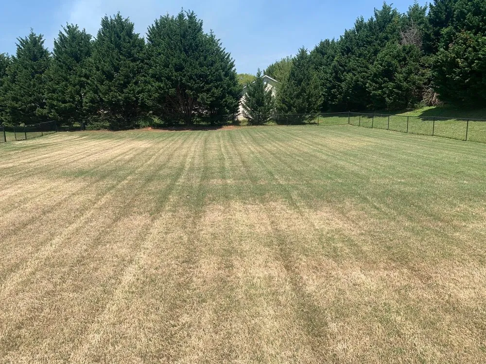 Expert landscape installation experts serving Covington, GA - Yellow River Landscaping